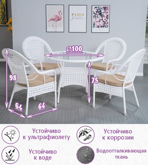 Обеденная группа из искусственного ротанга Шампань-4 (цвет: белый)