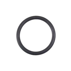 Прокладка O-RING, 20 x 1,5 мм, для NORM (412)