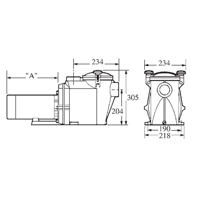 Насос Hayward RS II RS3016VSTD (220V, 1,5HP)